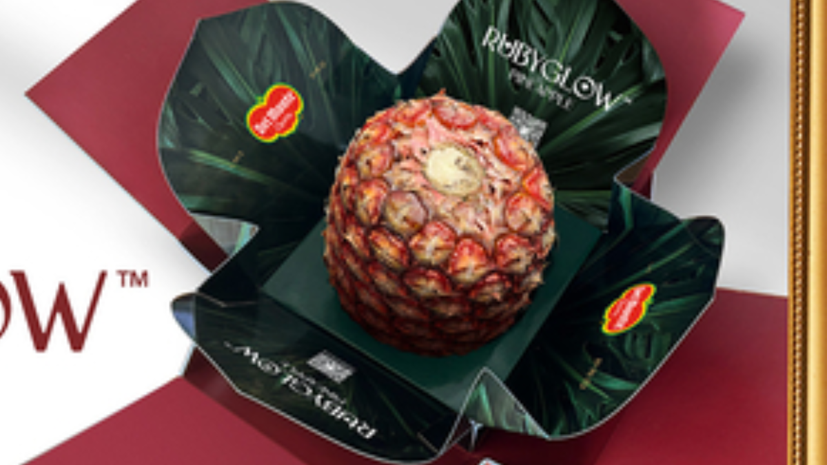 La piña Rubyglow: Una fruta exclusiva de Costa Rica - Noticia Impacto